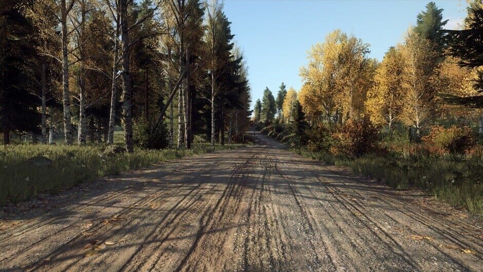 Скриншот 3 из DiRT Rally 2.0: Finland (Rally Location)