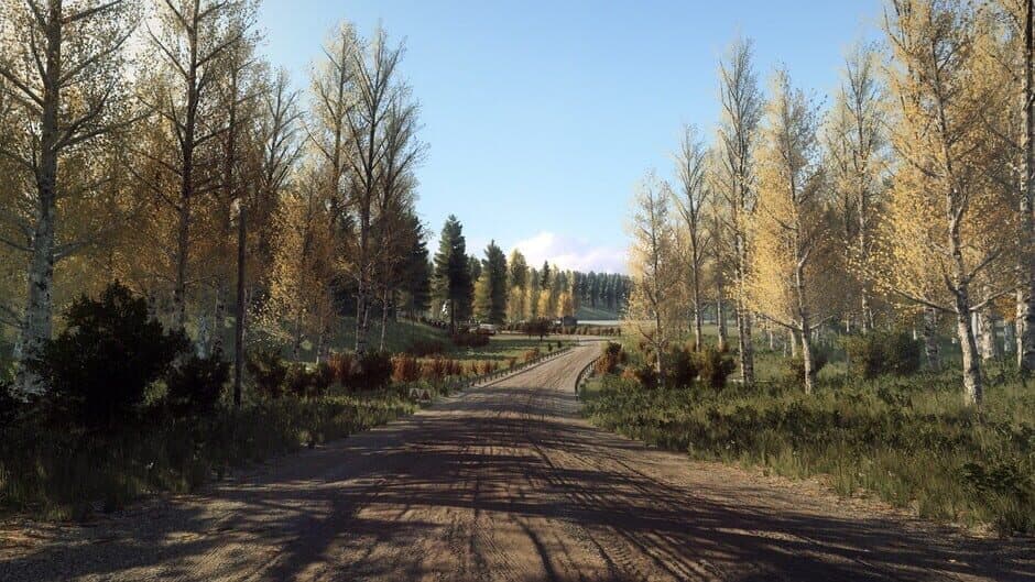 Скриншот 4 из DiRT Rally 2.0: Finland (Rally Location)