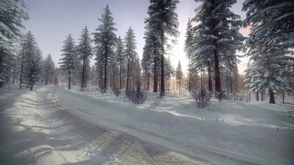 Скриншот 5 из DiRT Rally 2.0: Sweden (Rally Location)
