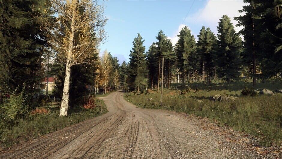 Скриншот 5 из DiRT Rally 2.0: Finland (Rally Location)