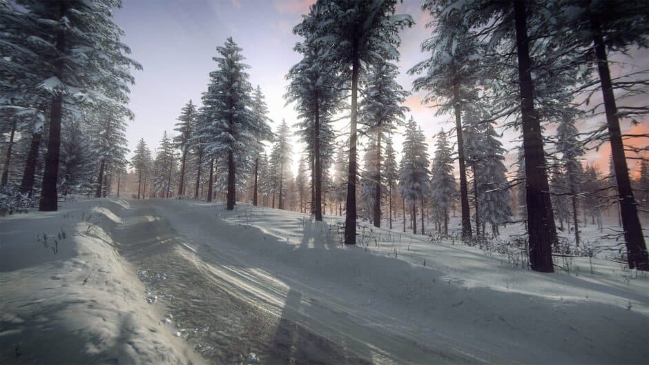 Скриншот 6 из DiRT Rally 2.0: Sweden (Rally Location)