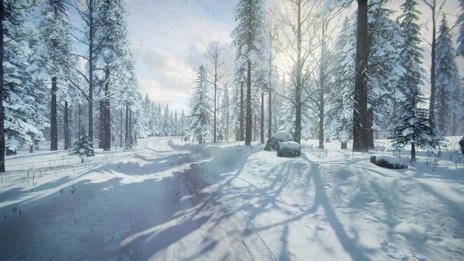 Скриншот 1 из DiRT Rally 2.0: Sweden (Rally Location)