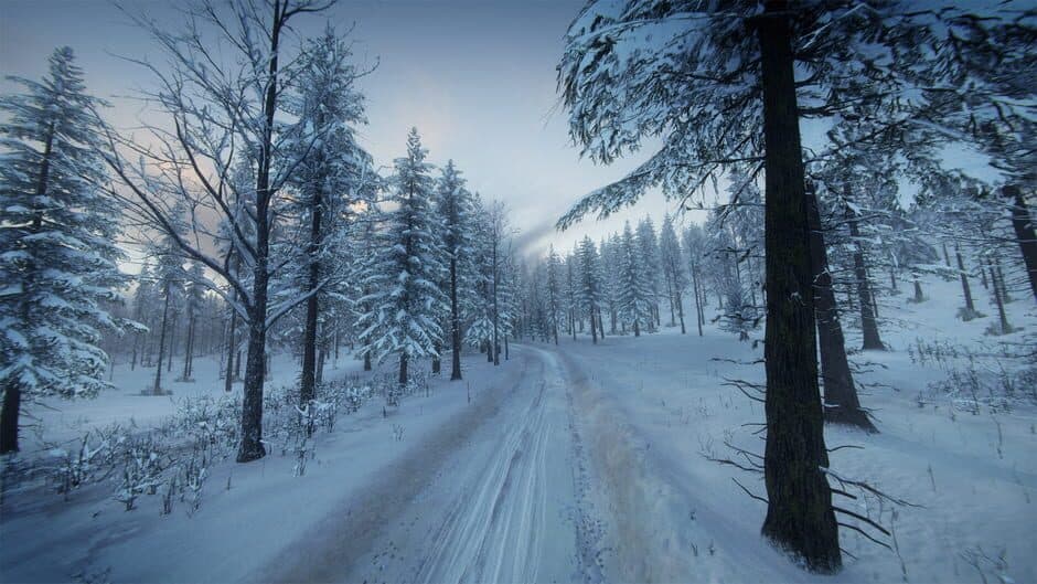 Скриншот 7 из DiRT Rally 2.0: Sweden (Rally Location)