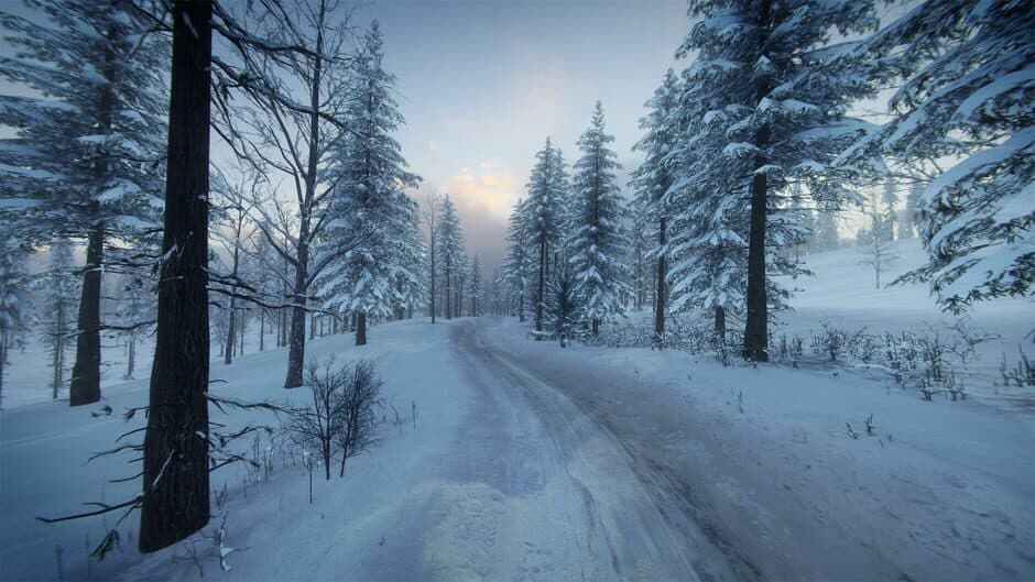 Скриншот 8 из DiRT Rally 2.0: Sweden (Rally Location)