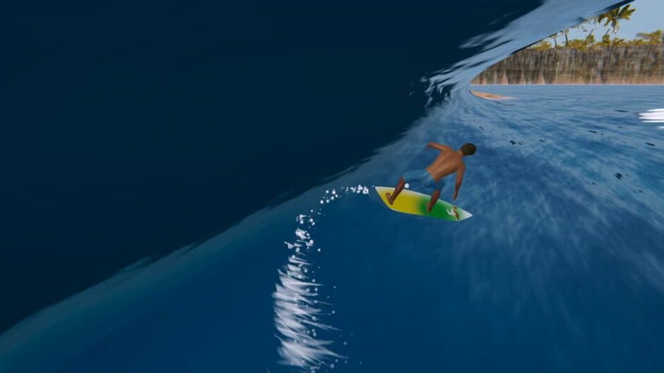 Скриншот 3 из The Endless Summer: Search For Surf