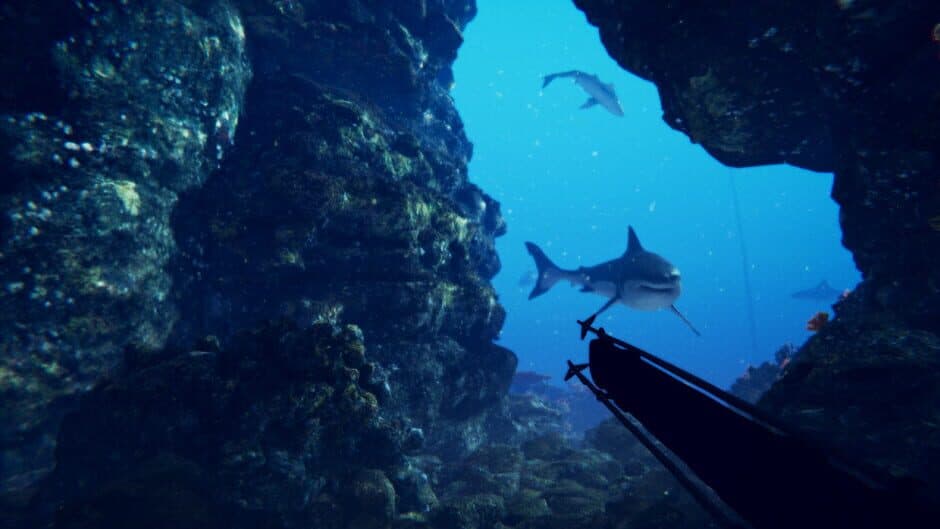 Скриншот 3 из Shark Slayer