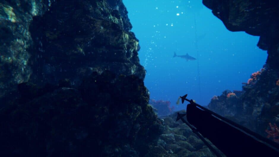 Скриншот 5 из Shark Slayer