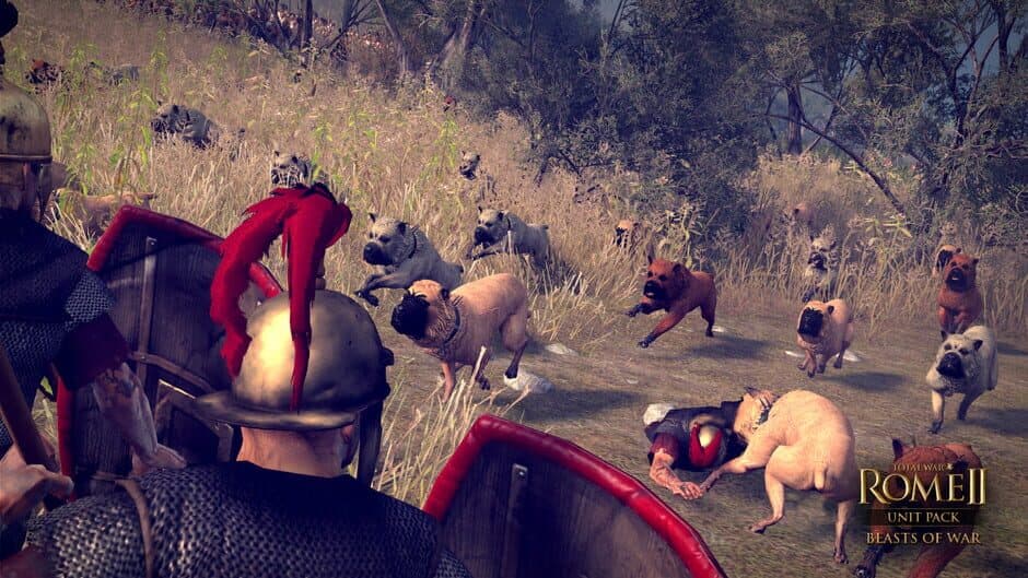 Скриншот 6 из Total War: Rome II - Unit Pack: Beasts of War