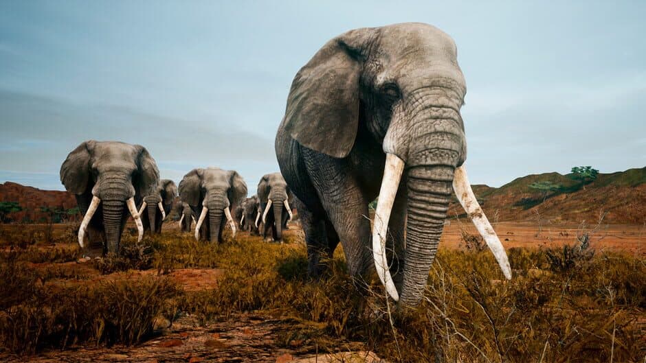 Скриншот 2 из Animalia Survival