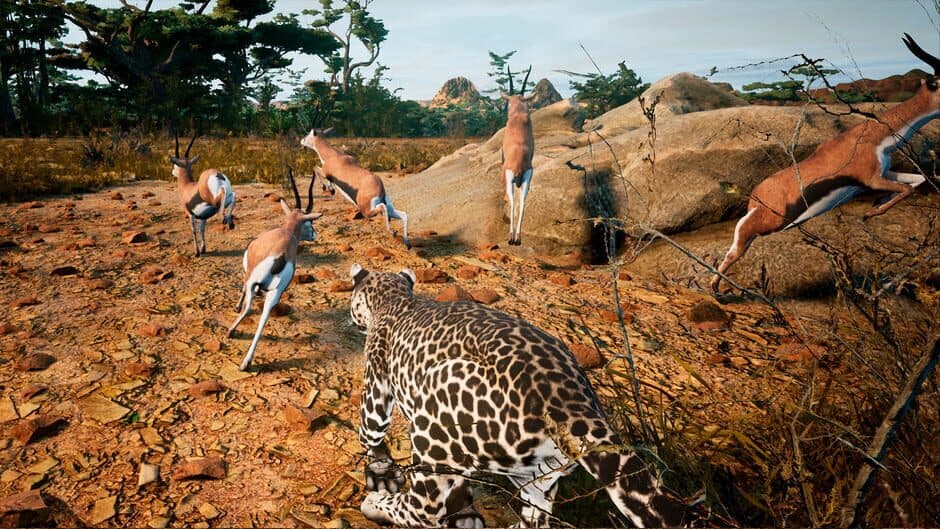 Скриншот 1 из Animalia Survival