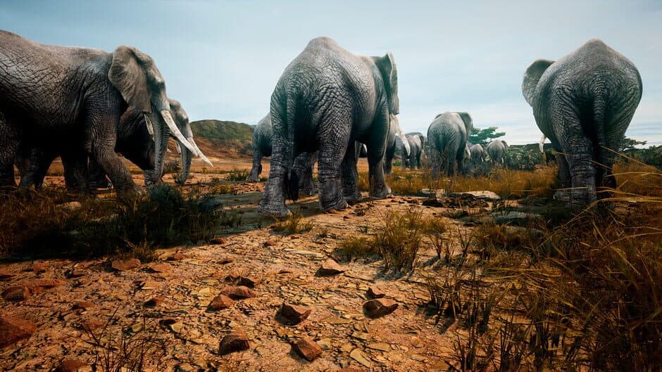 Скриншот 5 из Animalia Survival
