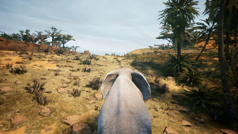 Скриншот 11 из Animalia Survival