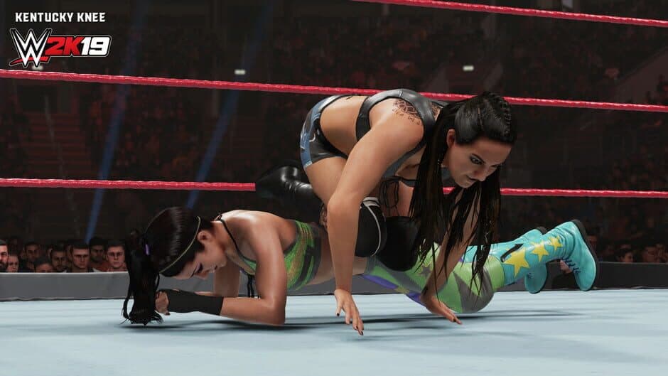 Скриншот 4 из WWE 2K19: New Moves