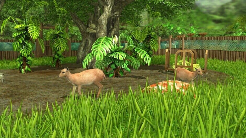 Скриншот 6 из Wildlife Park 3: Amazonas