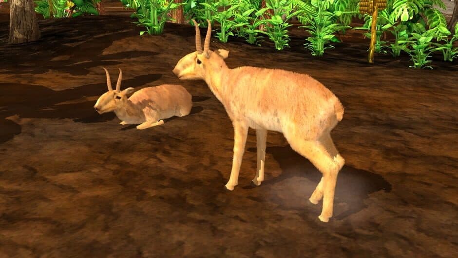 Скриншот 4 из Wildlife Park 3: Asia