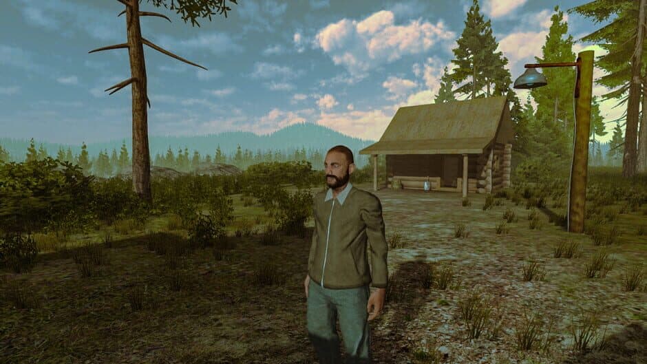 Скриншот 6 из The Evil in the Forest