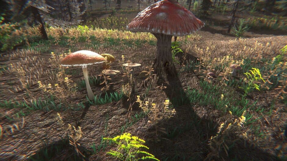Скриншот 3 из Mushroom Challenge