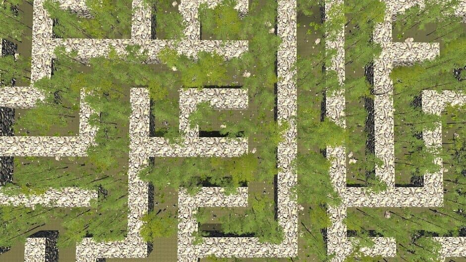 Скриншот 1 из The Maze