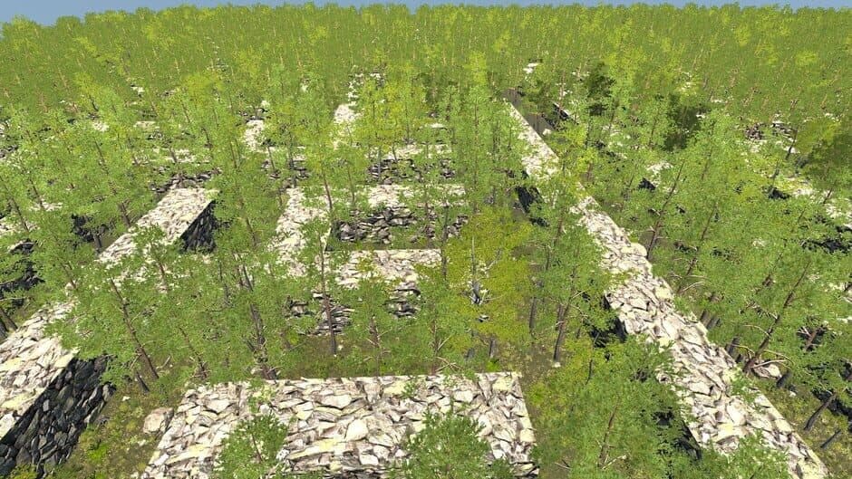 Скриншот 2 из The Maze