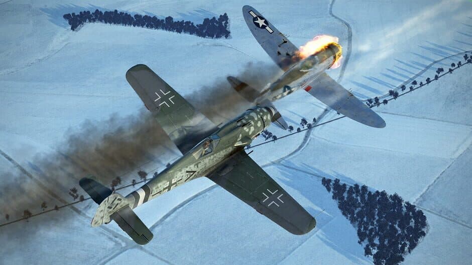 Скриншот 1 из IL-2 Sturmovik: Battle of Stalingrad - Fw 190 D-9 Collector Plane