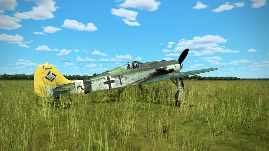 Скриншот 9 из IL-2 Sturmovik: Battle of Stalingrad - Fw 190 D-9 Collector Plane
