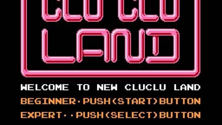 Скриншот 1 из Clu Clu Land D