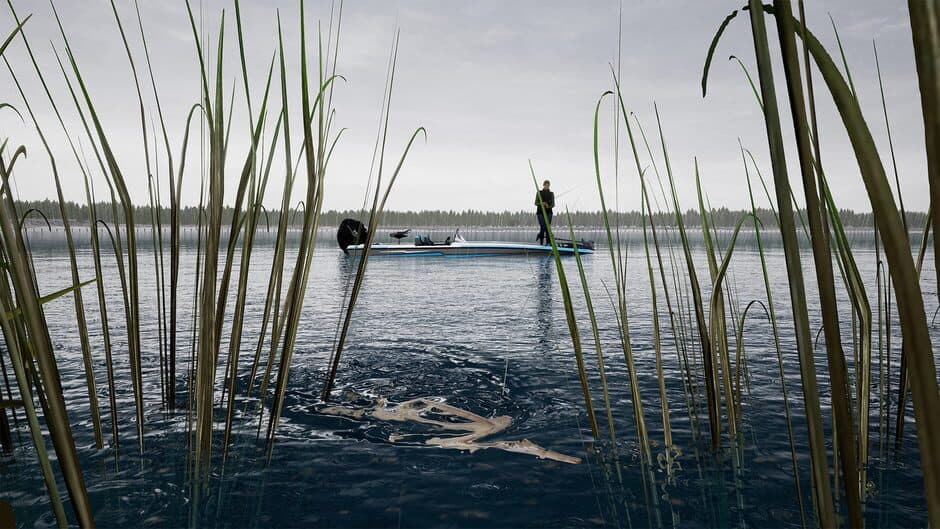 Скриншот 6 из Fishing Sim World: Pro Tour - Lake Dylan
