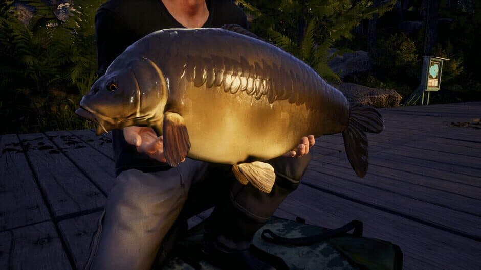 Скриншот 2 из Euro Fishing: Waldsee