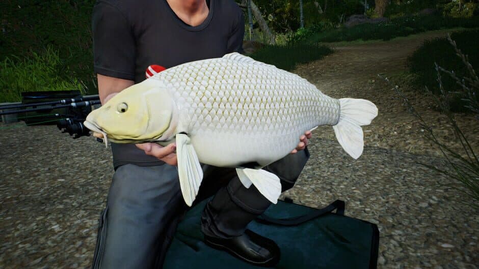 Скриншот 5 из Euro Fishing: Hunters Lake