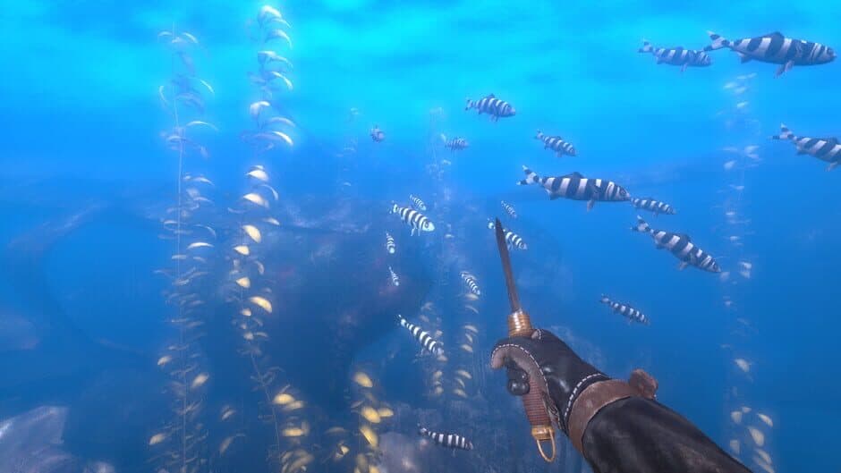 Скриншот 3 из Depth: Wilhelm Diver