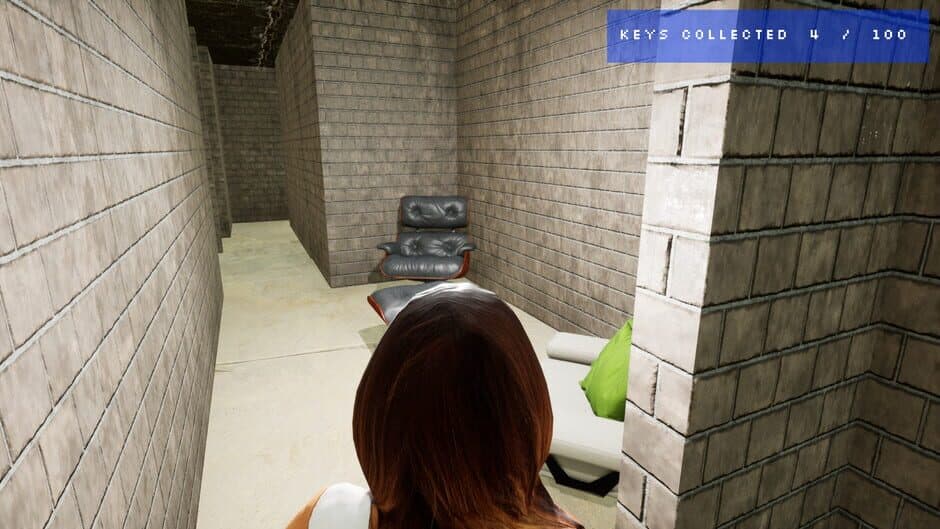 Скриншот 3 из The Maze