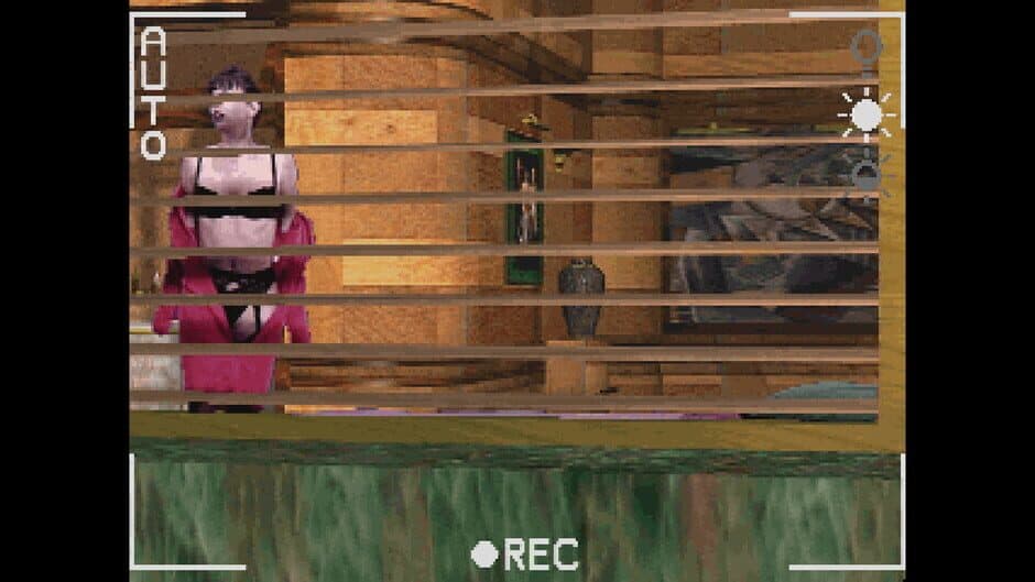 Скриншот 8 из Voyeur