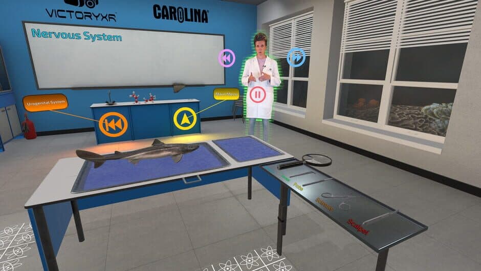 Скриншот 1 из Dissection Simulator: Dogfish Edition