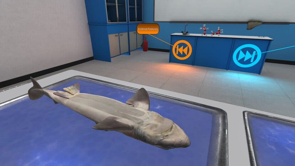 Скриншот 3 из Dissection Simulator: Dogfish Edition