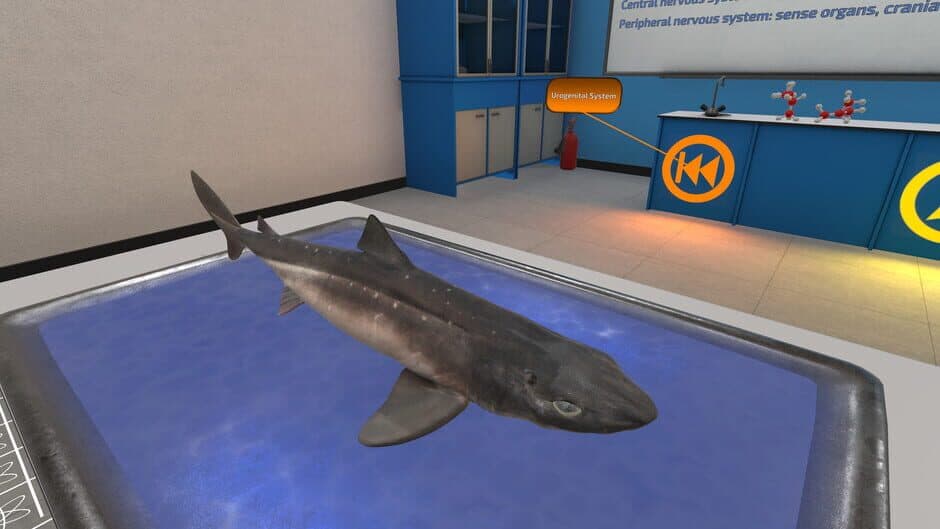 Скриншот 4 из Dissection Simulator: Dogfish Edition