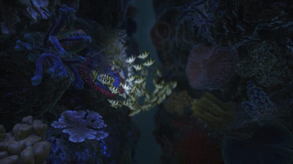 Скриншот 4 из 20,000 Miles Under the Sea