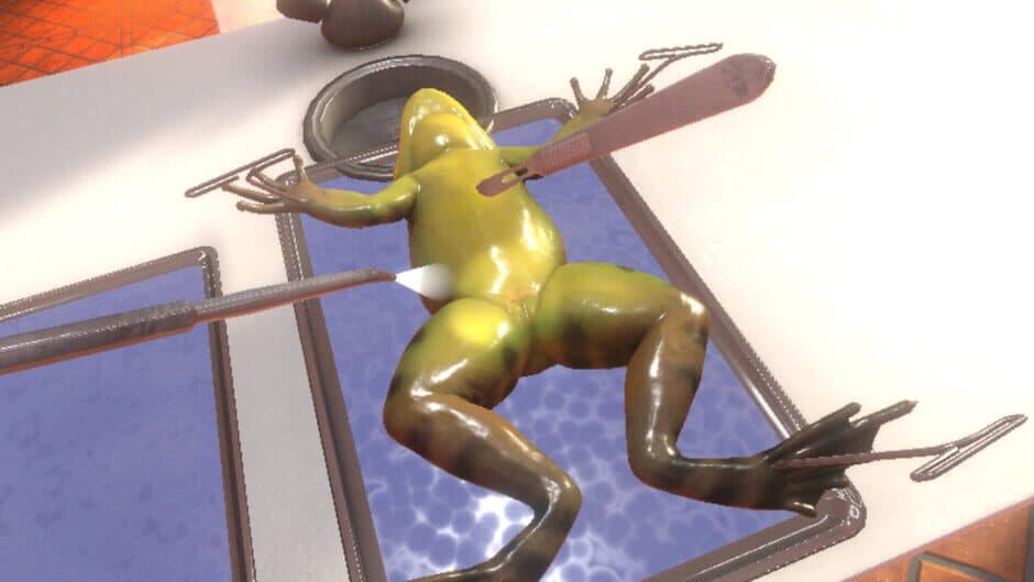 Скриншот 2 из Dissection Simulator: Frog Edition