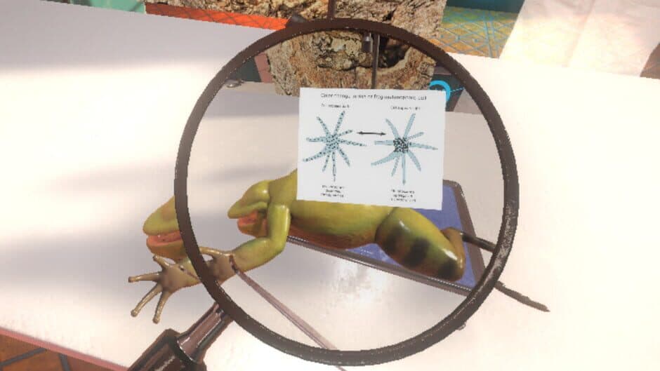 Скриншот 4 из Dissection Simulator: Frog Edition