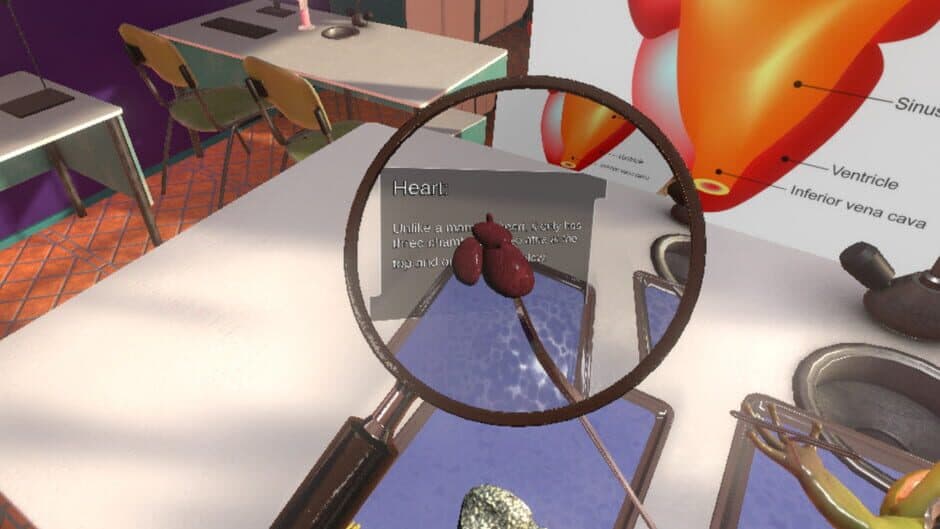 Скриншот 6 из Dissection Simulator: Frog Edition