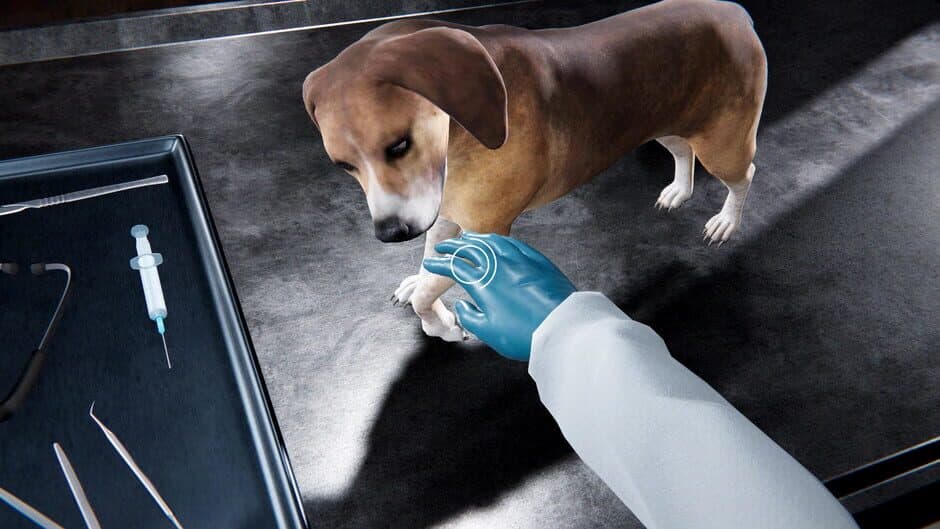 Скриншот 4 из Veterinary Clinic Simulator