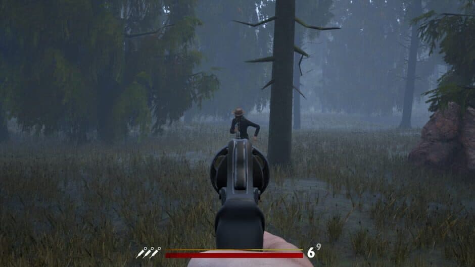 Скриншот 3 из Wild West Z