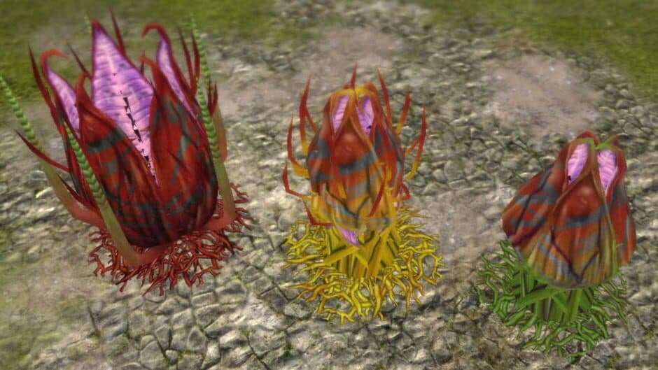 Скриншот 3 из Defenders of Ardania: The Conjurer's Tricks