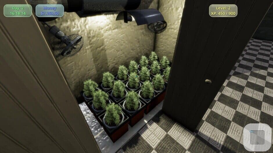 Скриншот 4 из Medicinal Herbs: Cannabis Grow Simulator
