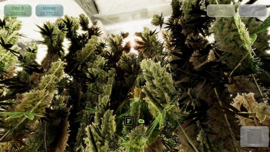 Скриншот 7 из Medicinal Herbs: Cannabis Grow Simulator