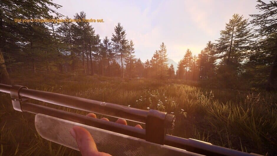 Скриншот 5 из Hunting Simulator 2: A Ranger's Life