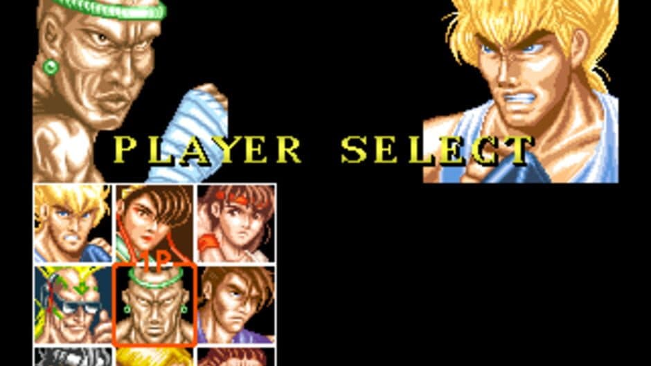 Скриншот 10 из Fighter's History