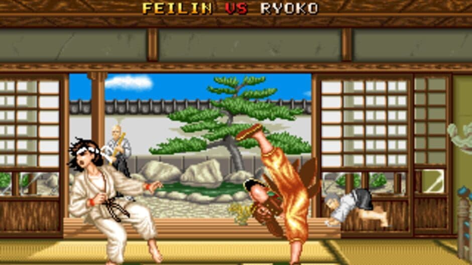 Скриншот 11 из Fighter's History