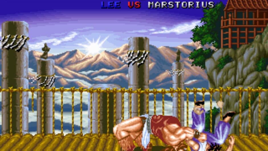 Скриншот 8 из Fighter's History