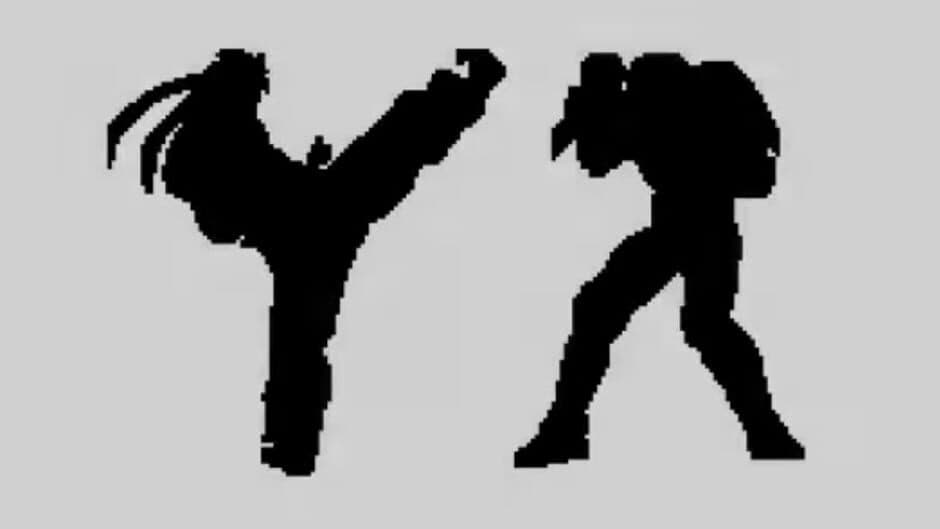 Скриншот 1 из Fighter's History 2