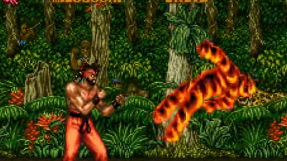 Скриншот 5 из Fighter's History 2